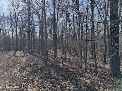 0 Belmont Cir unit RTC2928151, Monterey, TN 38574 - photo 3