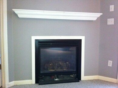 Fireplace in LR