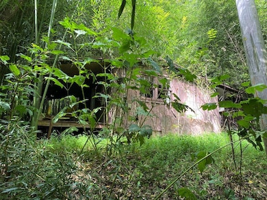 2222 Clarks Chapel Rd, Franklin, NC 28734 - photo 2