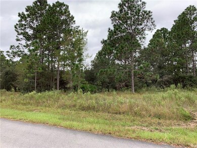 0 SW 209th Ave unit OM609696, Dunnellon, FL 34431 - photo 2