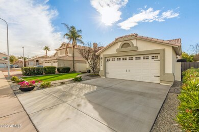5 - Palo Verde