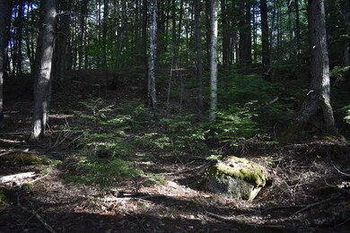 Lot 1B-9 Upper Dark Cove Rd, Weston, ME 04424 - photo 4