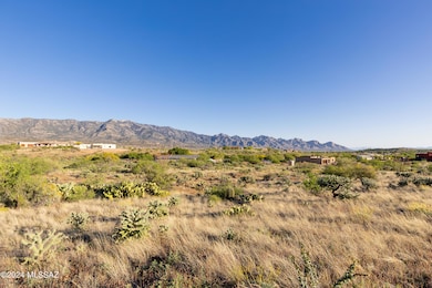 Spacious Lot