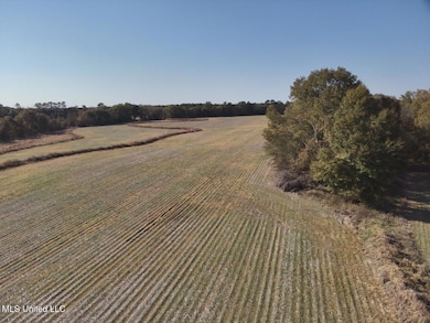 0 Linwood unit 4132080, Benton, MS 39039 - photo 6