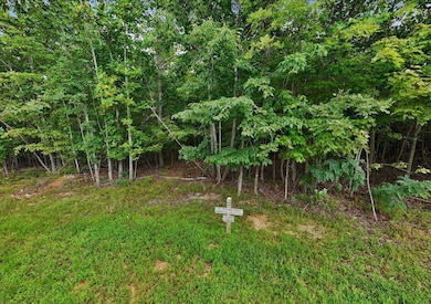 200 Whiskey Way, Jasper, TN 37374 - photo 4