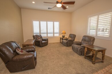 Falcon View Livingrm