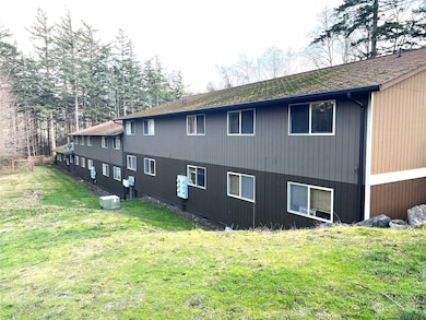 172 Lover's Ln unit B201, Eastsound, WA 98245 - photo 5