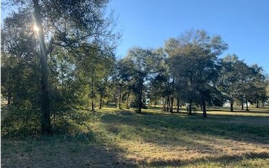 0 Mandiba Dr unit 109996, Lake City, FL 32024 - photo 3