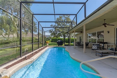 Lap Pool