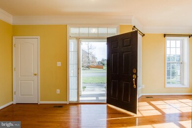 41948 Blue Flag Terrace, Stone Ridge, VA 20105 - photo 4