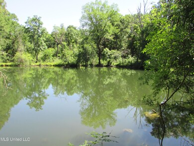 0 Bend Rd unit 4113999, Vaughan, MS 39179 - photo 4