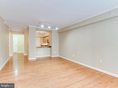 The Clara Barton at Penn Quarter unit 220, Washington, DC 20004 - photo 4