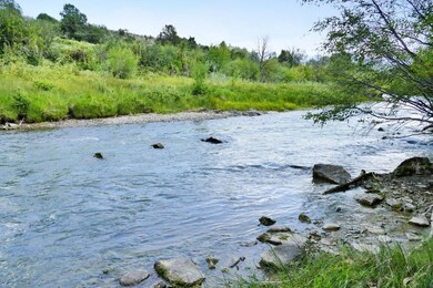 Uncompahgre River front