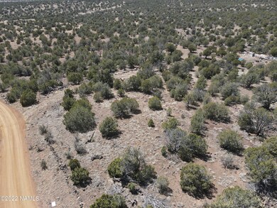 DJI_0213
