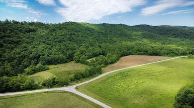 12808 Ohio 348, Otway, OH 45657 - photo 2