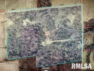 703 Buchanan Rd, Iuka, IL 62849 - photo 6