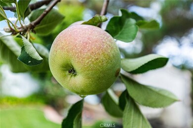 28222 Shore, Mission Viejo, CA 92692 - photo 7