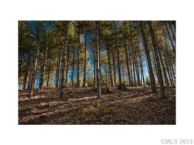 Land/Lot