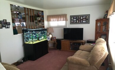 Living room - beautiful natural light!
