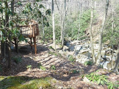 62 Shanty Springs Rd, Banner Elk, NC 28604 - photo 2
