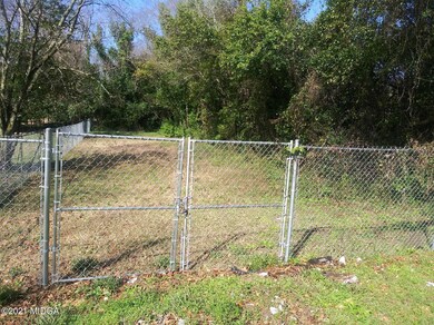 Front Yard 3