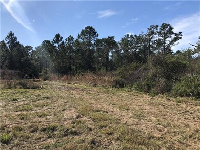 4670 Kola Rd, New Smyrna Beach, FL 32168 - photo 7