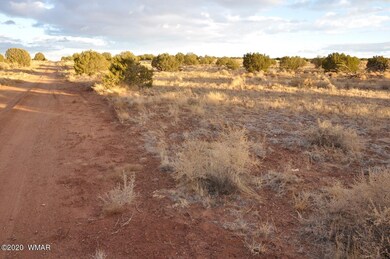 Juniper Berry