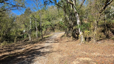 1876 Upper Middle Creek Rd, Sevierville, TN 37876 - photo 4