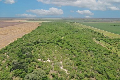 unlisted-address, Alice, TX 78332 - photo 6