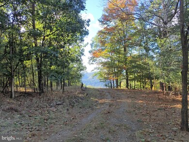 Lot 202 Hampshire Ridge Rd, Romney, WV 26755 - photo 2
