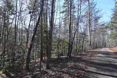 00 Watermelon Way unit Lot F, Tamassee, SC 29686 - photo 5