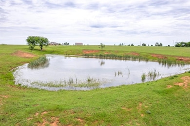 15697 State Highway 74, Wayne, OK 73095 - photo 7