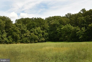 12227 Dover Rd, Owings Mills, MD 21117 - photo 4