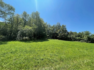 529 Parsonage Ave, Rural Retreat, VA 24368 - photo 4