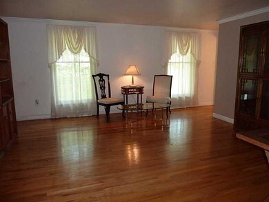 Living Room. Check out how the natural light gleam