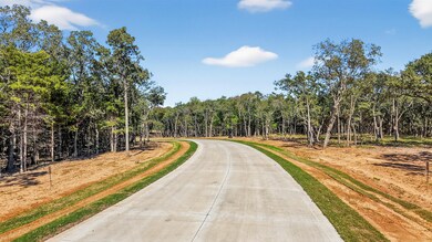 Lot 16 White Tail Way, Pottsboro, TX 75076 - photo 7