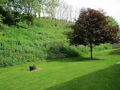 Exterior Back. Lush and lovely yard!