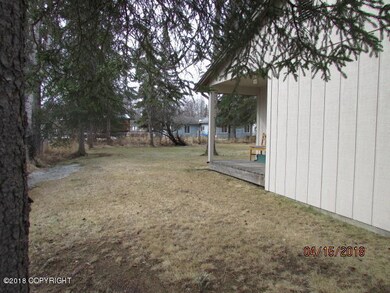 Back yard