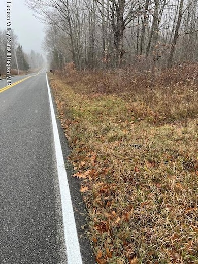 Tbd Goshen St, Jewett, NY 12444 - photo 3