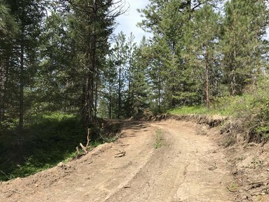 The Driveway is Fairly Level as it Winds Into The