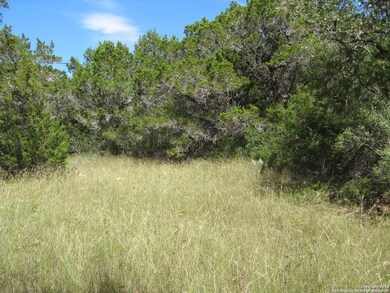 0 County Road 241, Hondo, TX 78861 - photo 3