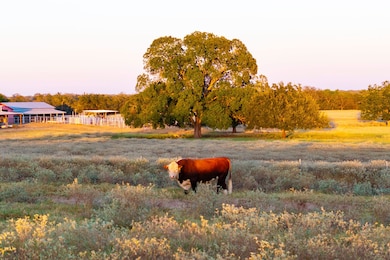 1155 Fm2438, Seguin, TX 78155 - photo 2