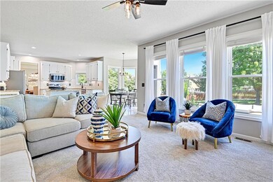 21605 W 97th Terrace, Lenexa, KS 66220 - photo 4