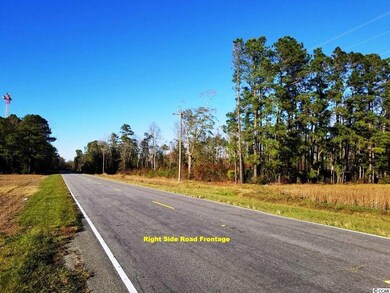 0 S Carolina 410, Aynor, SC 29511 - photo 2