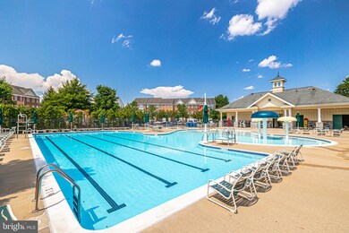 22526 Scattersville Gap Terrace, Ashburn, VA 20148 - photo 4