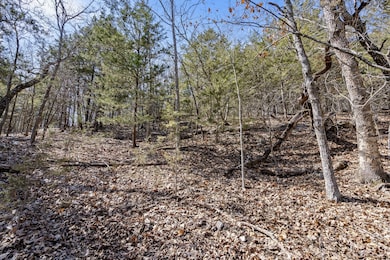 000 Map Ln, Branson, MO 65616 - photo 3
