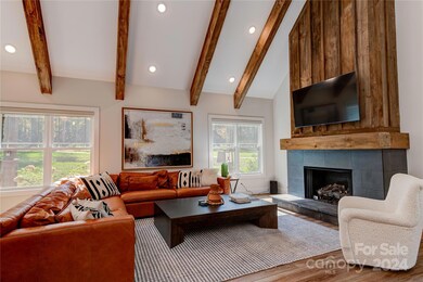 Watch the game with friends