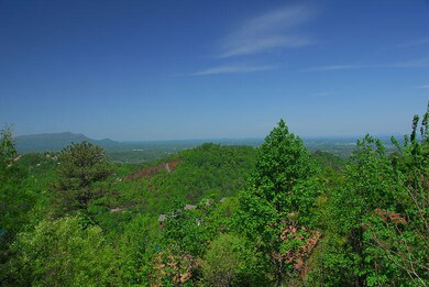 DSC_0011m