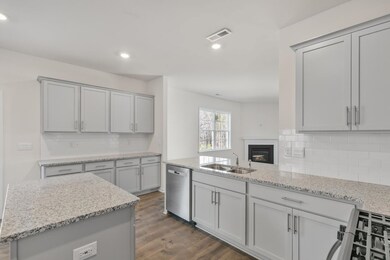 166 David Hill Dr, Buffalo Lake, NC 27330 - photo 5