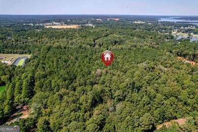 Lot D Martin Oaks Blvd, Eatonton, GA 31024 - photo 5